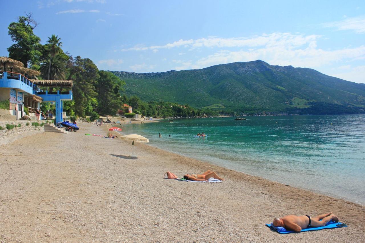 Apartments And Rooms With Parking Space Orebic, Peljesac - 10191 Eksteriør billede